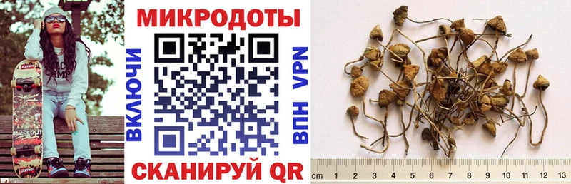 Галлюциногенные грибы GOLDEN TEACHER  Рошаль 
